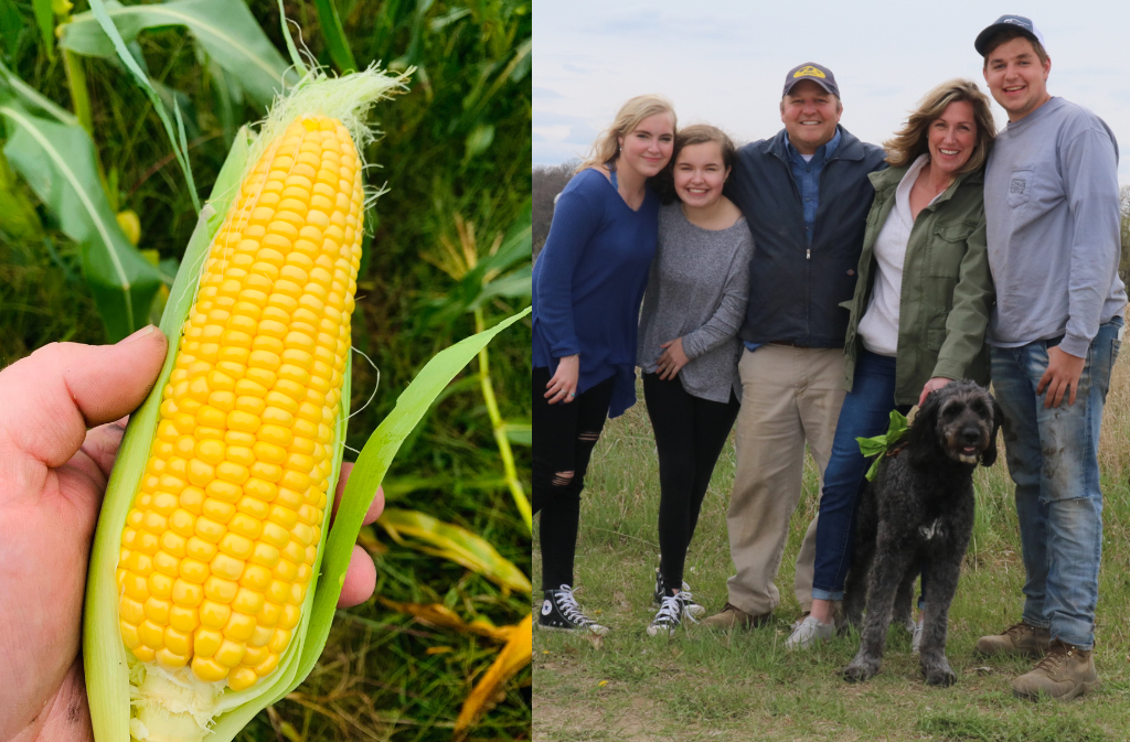 Corn - Mortenson Bros Farm