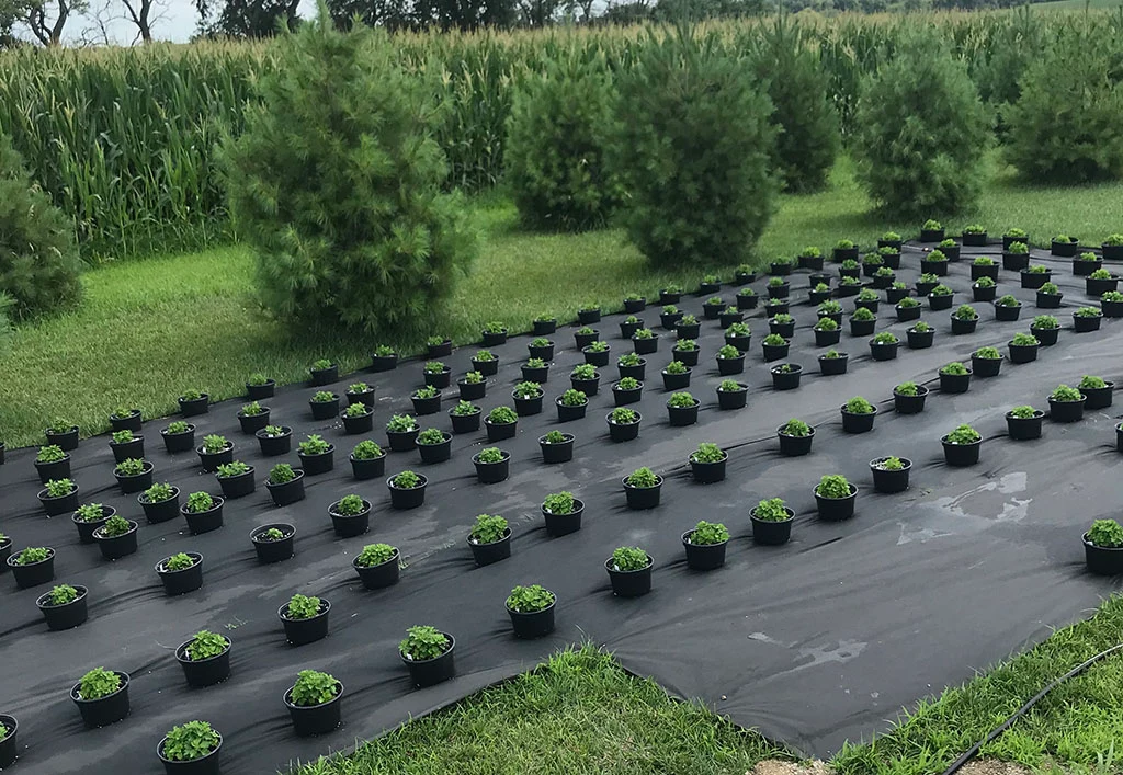 Growing Good with the Next Generation of Farmers: SAE Grant Project Update