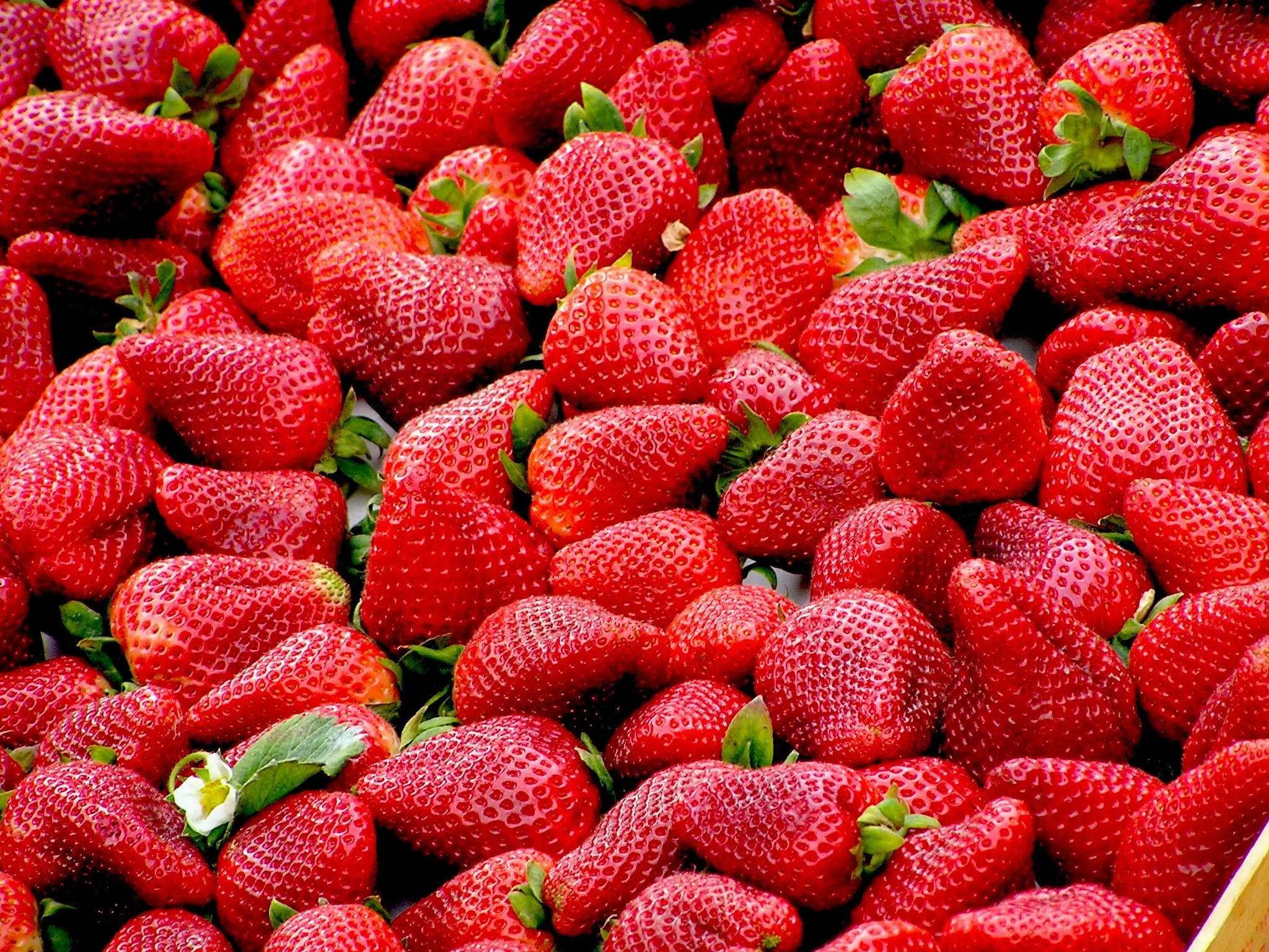 Add Fresh Strawberries to Your Favorite Meals