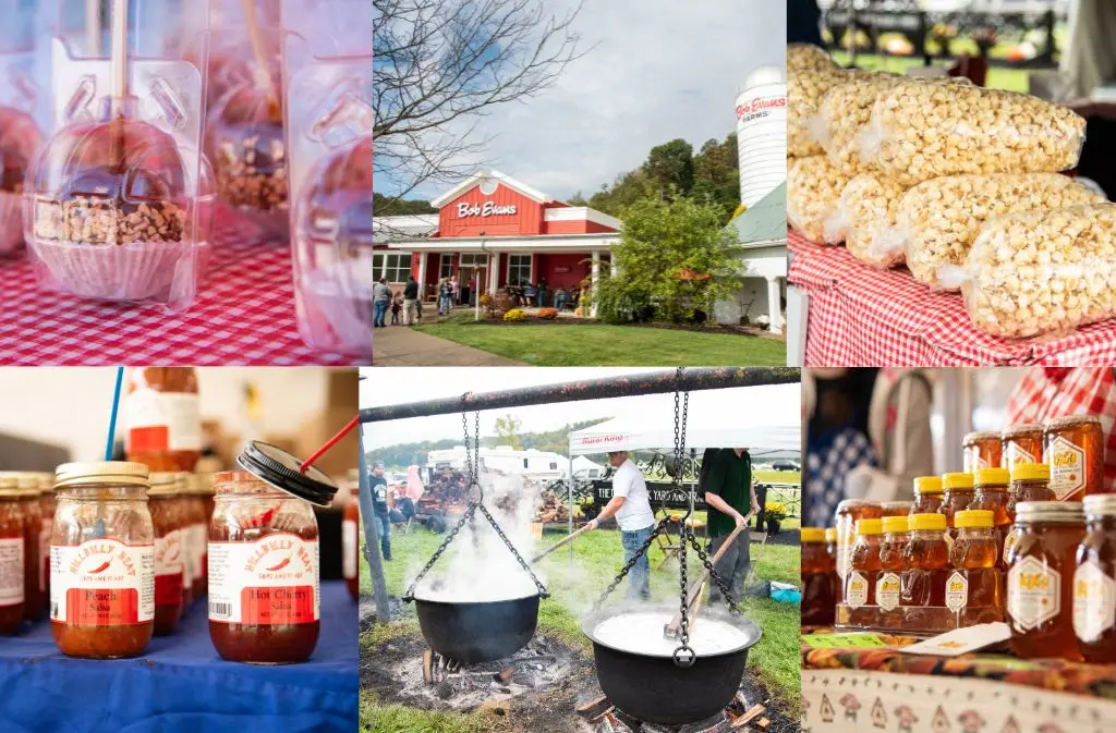 A Recap of the 52nd Annual Farm Festival